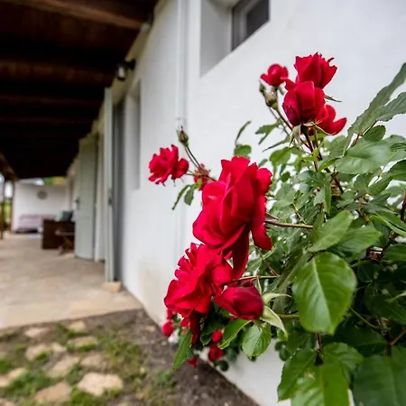 Florie Casa vacanze *